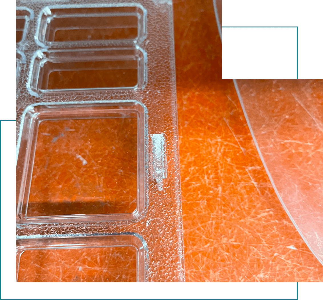 Clear plastic mold on orange surface.